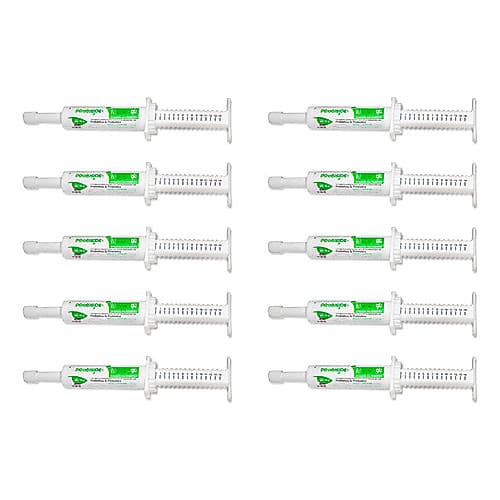 Kit 10 Probiótico & Prebiótico Para Cães Gatos Recupera Flora Intestinal 14g