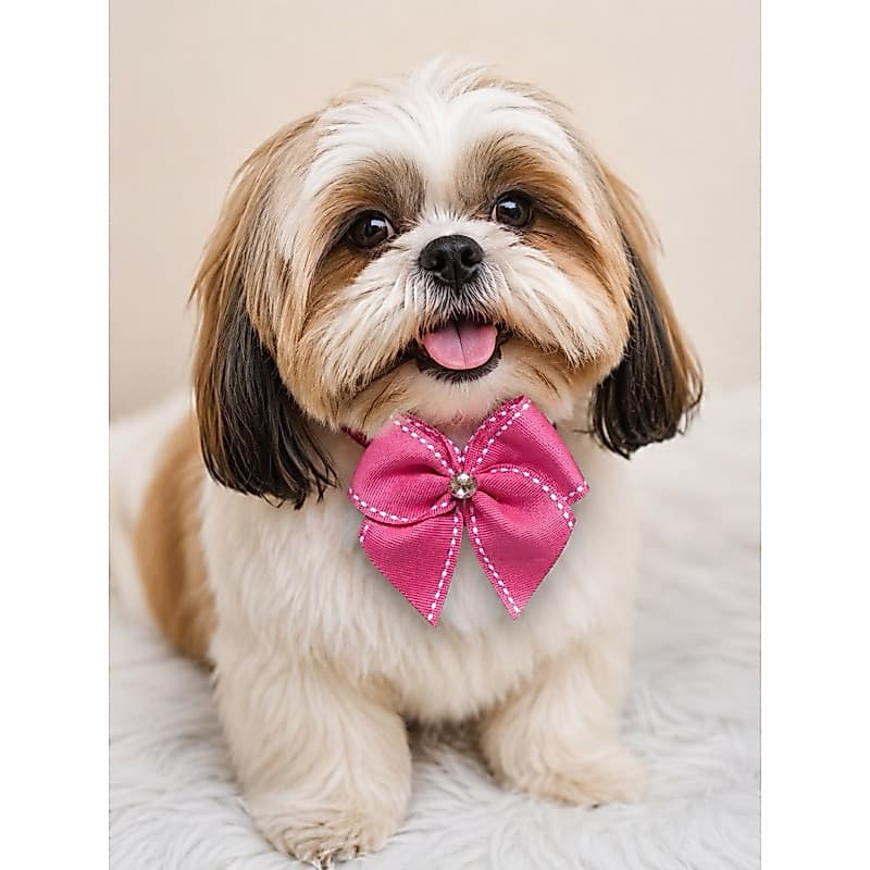 kit Laço de Pescoço para Cachorro e Gato Pet economico Ajustável com Strass Diversas Estampas