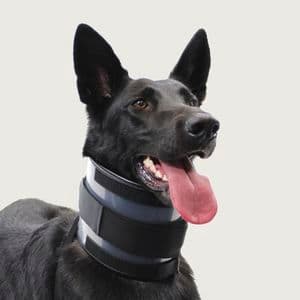 COLAR CERVICAL para Cachorro DO TAMANHO 00 AO NUMERO 08