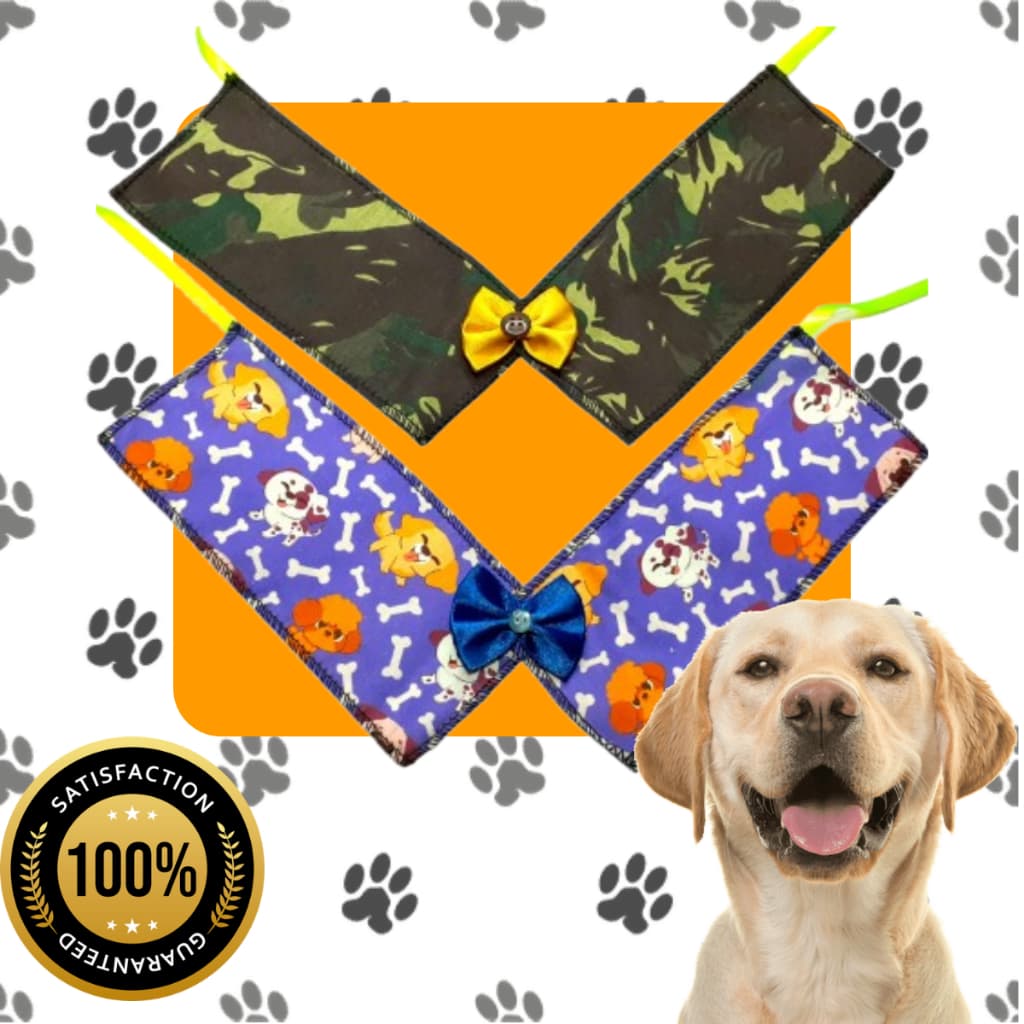 Kit Gola Pet Sortida Pacote C/ 20 Unidades, Macho e Fêmea, Cachorro, Pet Shop, Gato