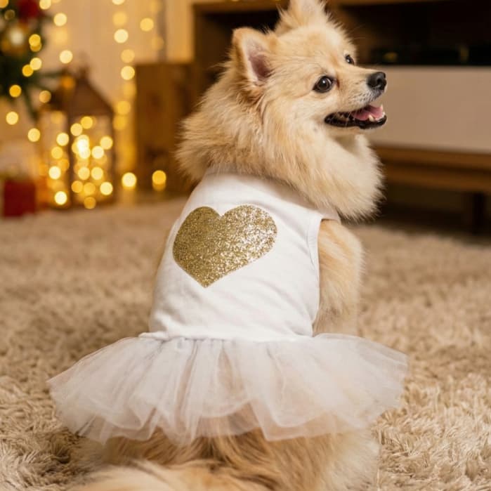 Fantasia Pet Luxo Noivinha para Cachorro e Gato | Vestido Pet Branco ou Prata com Brilho