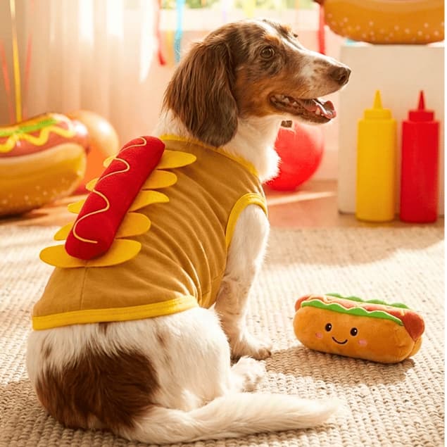 Fantasia Pet para Cachorro e Gato | Vestido Pet ou Regata Personagens | Dragão, Morcego e Hot Dog