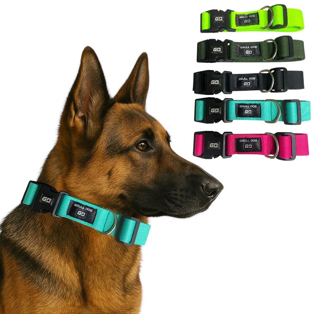 Coleira para Cachorro Ajustável Resistente Estilosa Pet Pequeno médio e grande porte