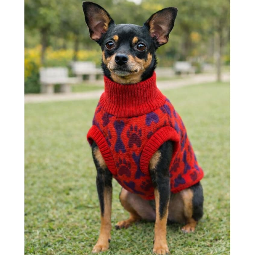 Roupa Inverno para Cães – Lã tricot Macia e Confortável, Várias Cores, Tamanhos variados
