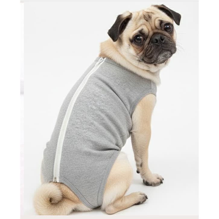 Roupa Pet Pós Cirúrgica Zíper Macho e Fêmea Cor Sortidas Cirurgia Cachorro Abdominal cirurgia