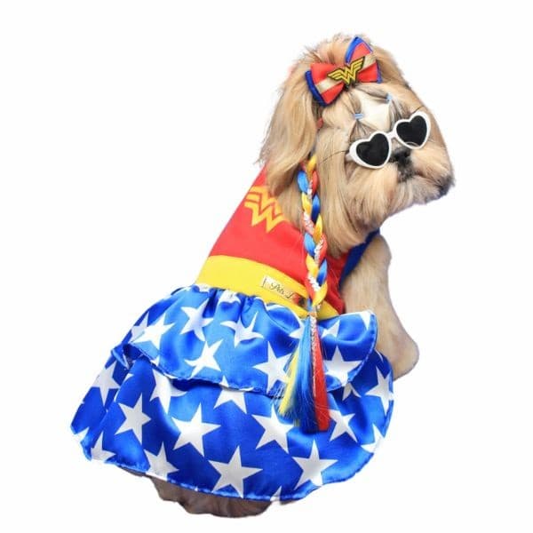 Roupa pet Vestido Pet Mulher Maravilha Fantasia cachorrinha femea herois cachorro festa