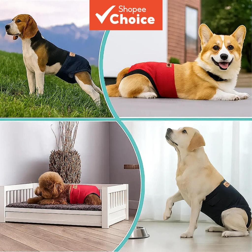 Calças fisiológicas para animais de estimação, fraldas laváveis para cães, absorventes, ajustáveis, reutilizáveis,