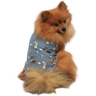 Roupa moda Pet Alvin Modelo Regata esquilos azul fantasia pijama cachorro porte pequeno médio grande