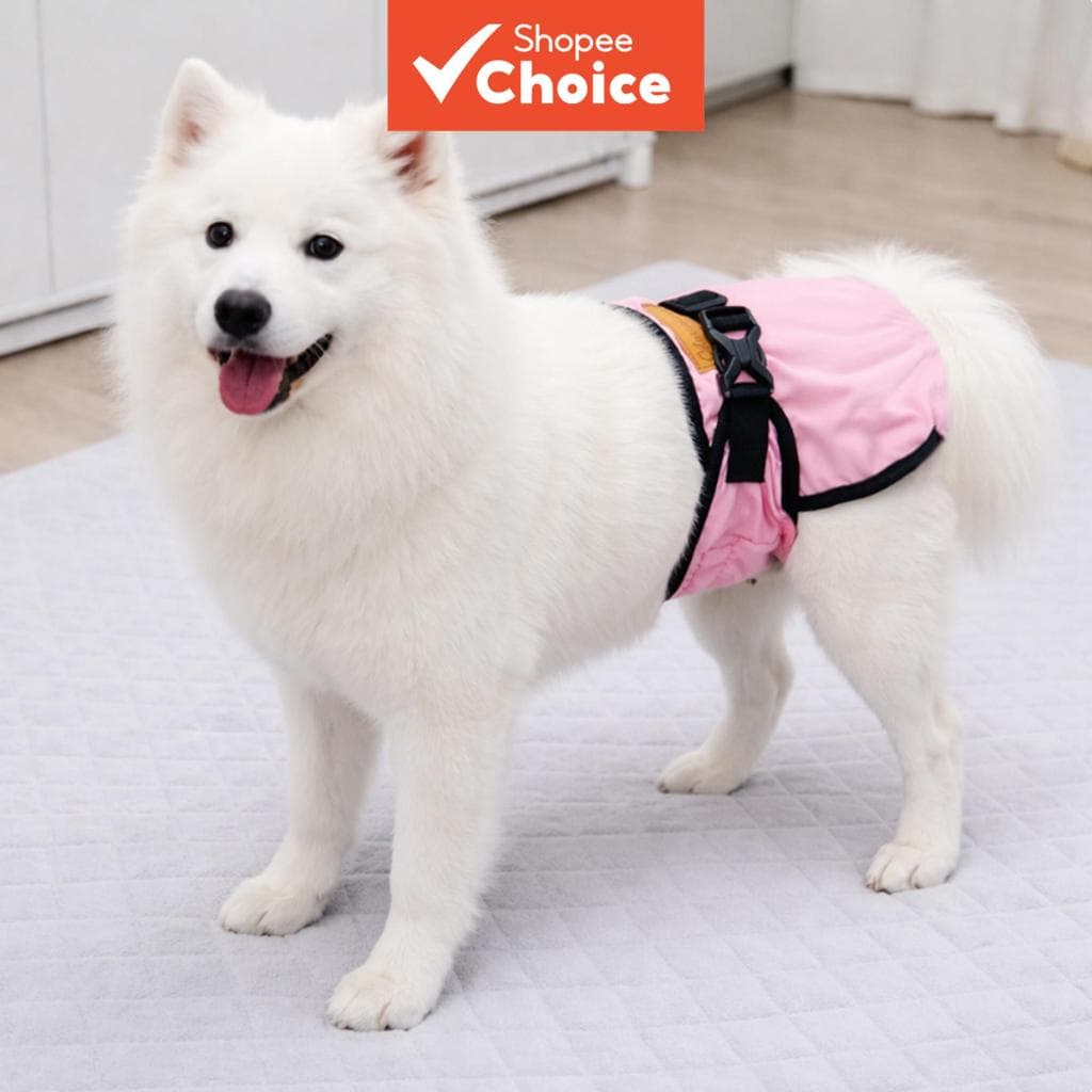 Cueca fisiológica para cadelas, calças menstruais, fraldas anti-assédio para pets, cinto de etiqueta