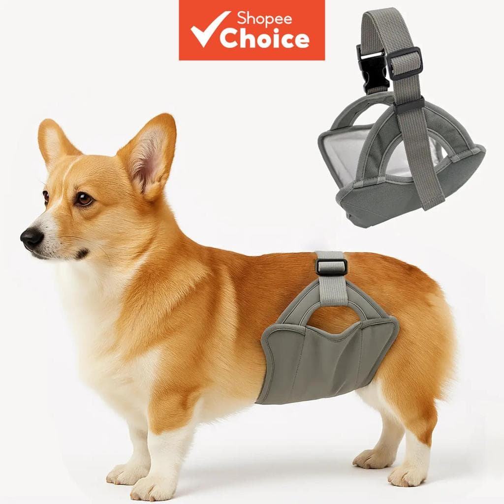 Cueca higiênica masculina para cachorro, antisséptica, higiênica, respirável, cinto de educação comportamental pet,