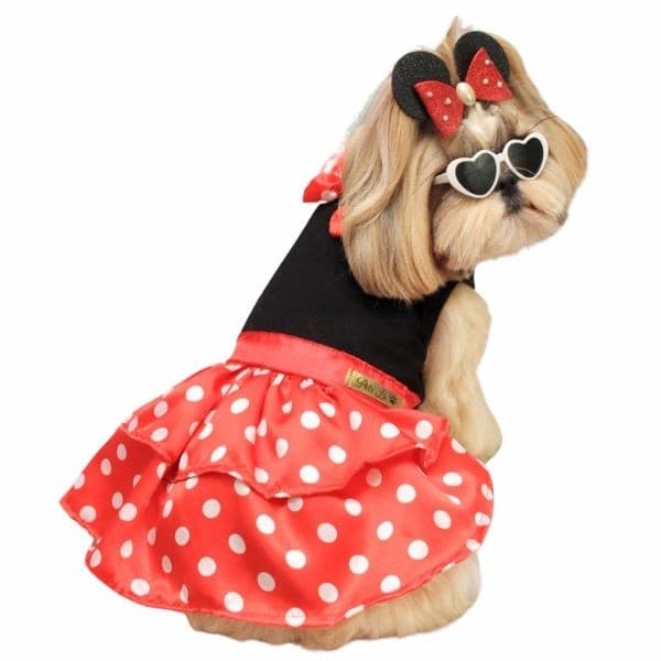Roupa pet Vestido Pet Regata Minnie bolinhas poá vermelho festa roupinhas cachorrinha vintage poá