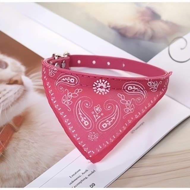 Lenço Adorável : A Moda Para Animais De Estimação Outono E Inverno !